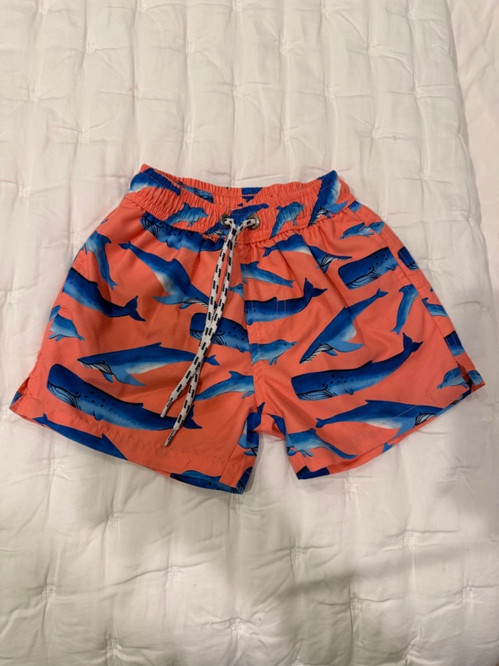 Snapper Rock Swim Trunks with Blue Whale Print